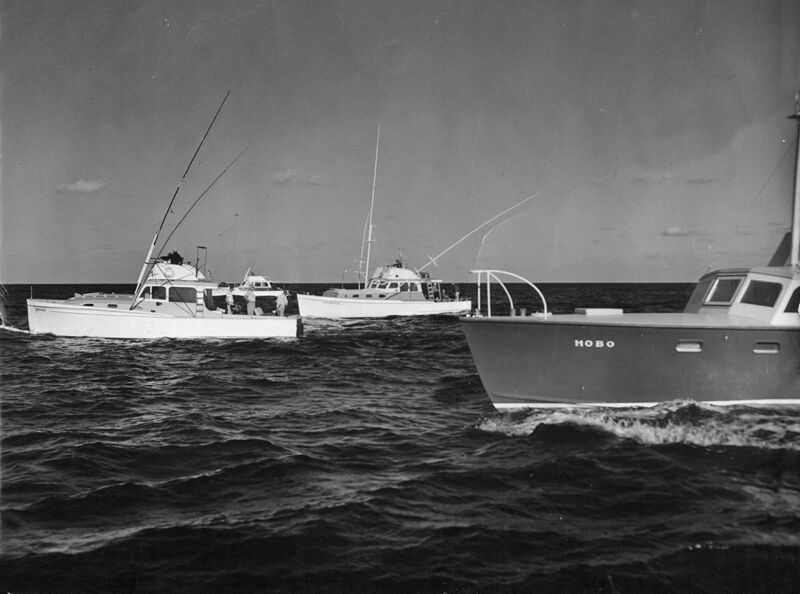 Click to See Next Image